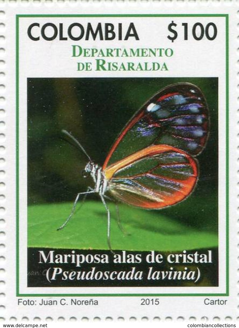 Lote 2015-8.2, Colombia, 2015, Departamento De Risaralda, Stamp, Sello, Mariposa, Butterfly Pseudoscada Lavinia - Colombia