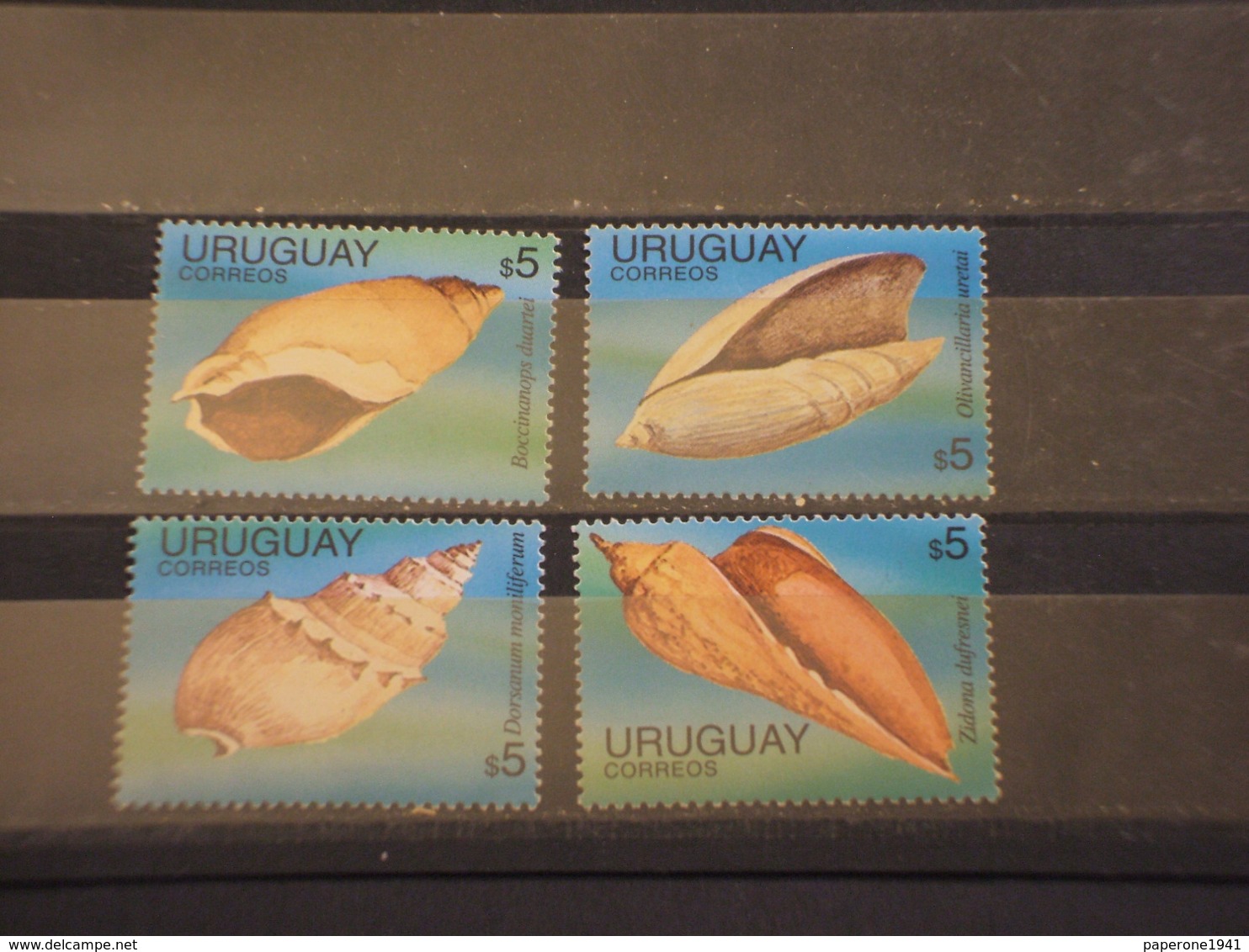 URUGUAY - 1995 CONCHIGLIE 4 VALORI - NUOVI(++) - Uruguay