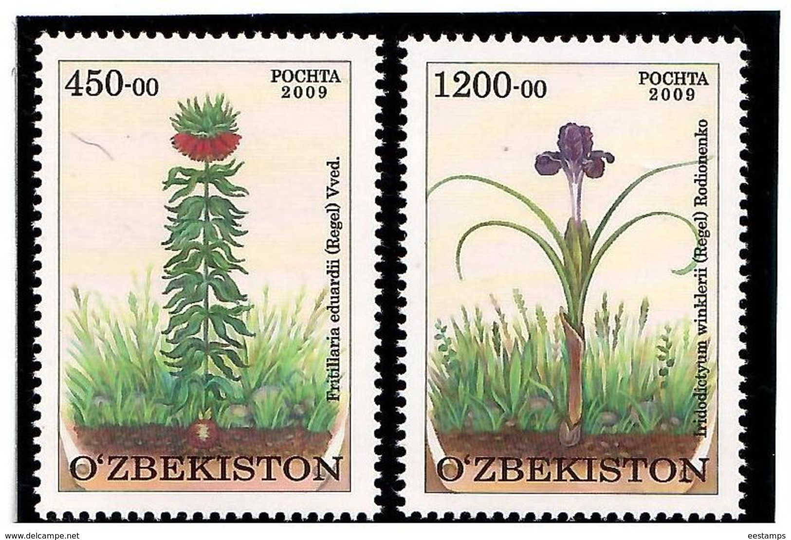 Uzbekistan 2010 .Flowers. 2v: 450, 1200    Michel # 839-40 - Uzbekistán