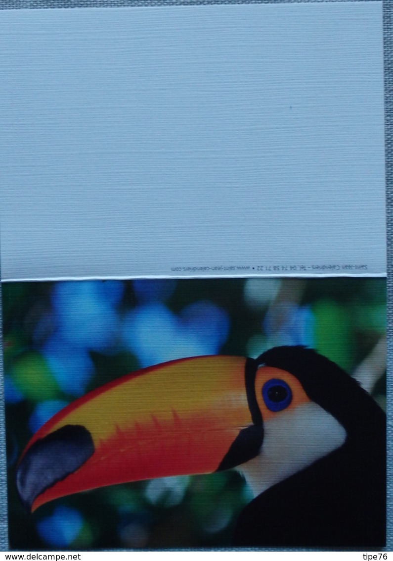 Petit Calendrier De Poche  2010 Oiseau Toucan - Small : 2001-...