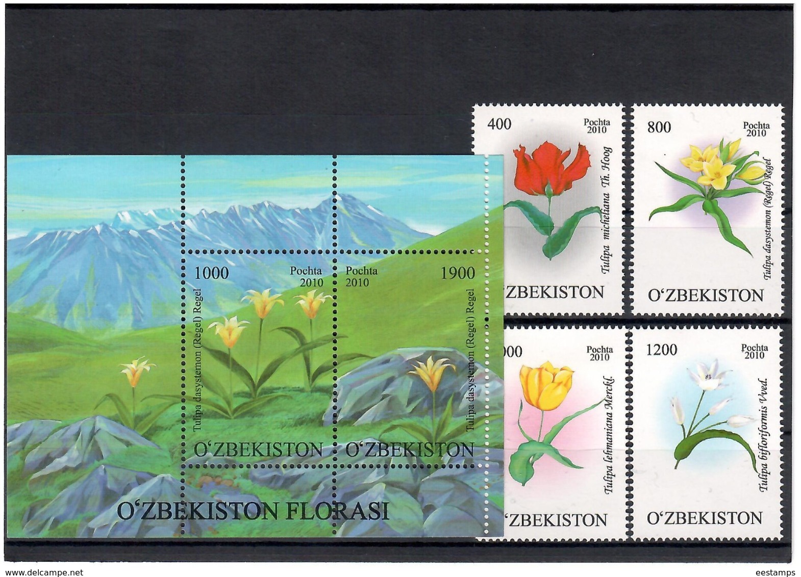 Uzbekistan 2010 .Tulips(Mountains). 4v + S/S; 400,800,1000,1200+1000/1900  Michel # 905-08 + BL 57 - Uzbekistán