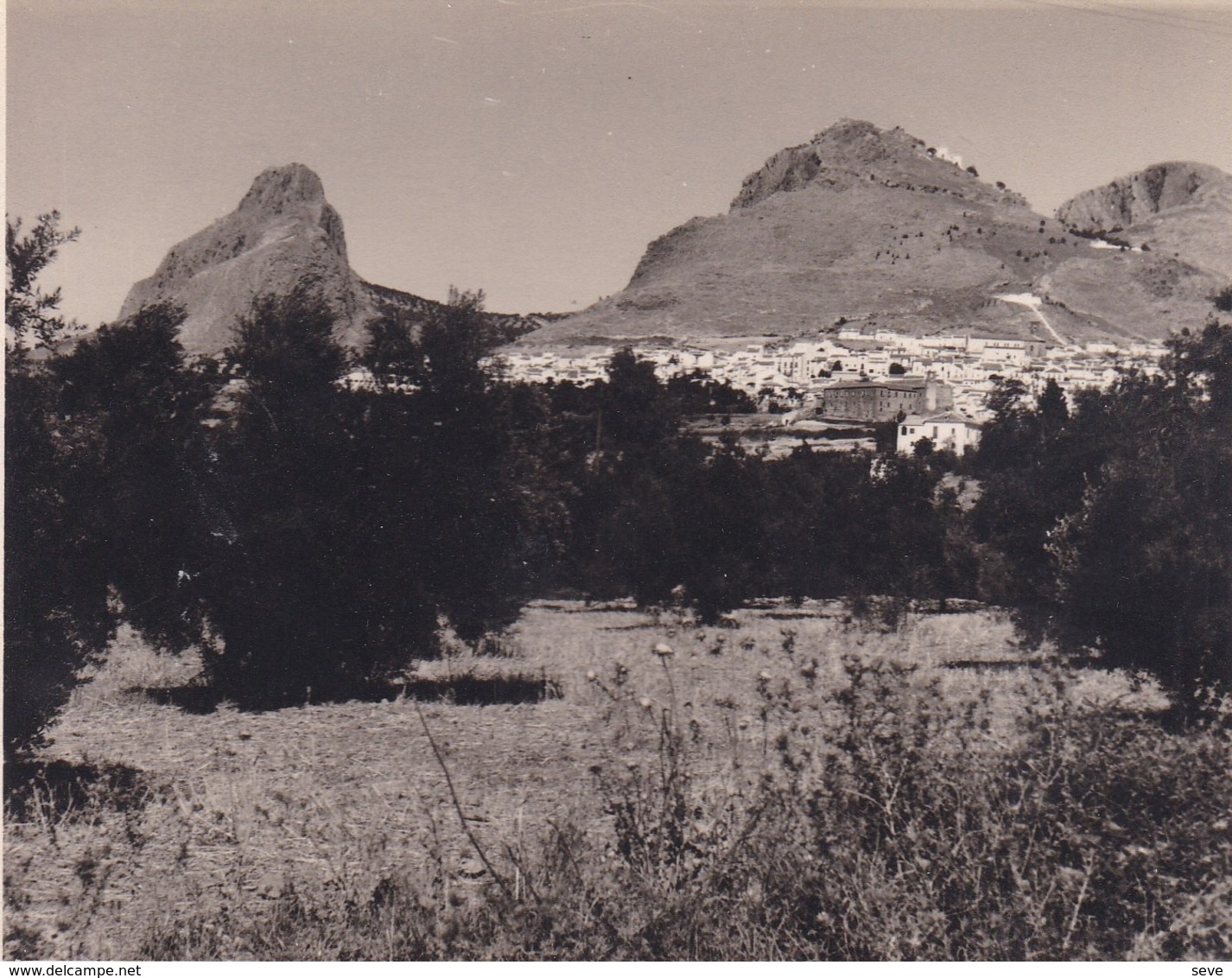 ARCHIDONA Province De MALAGA 1962 Photo Amateur Format Environ 7,5 Cm X 3,5 Cm - Lugares