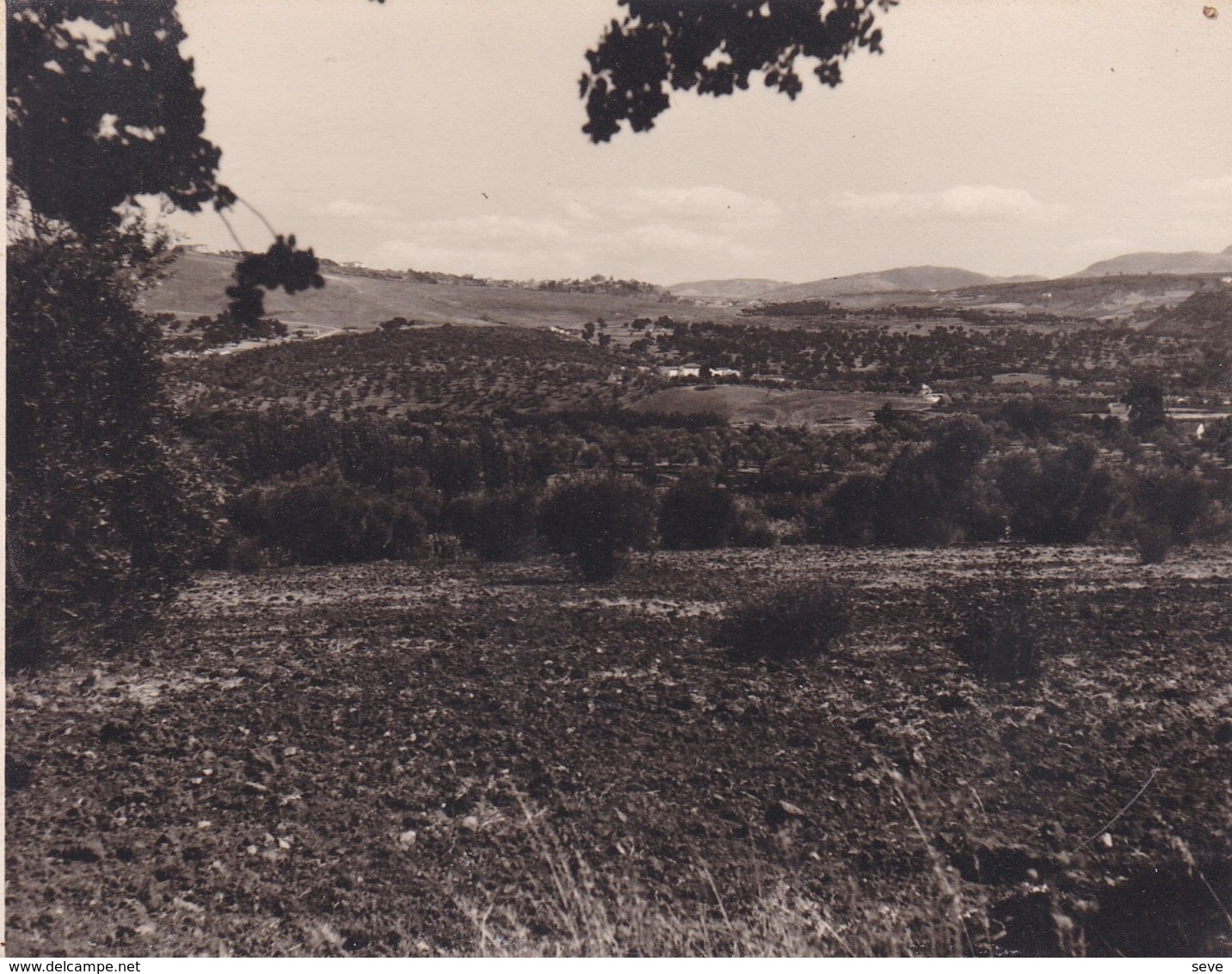 Route De RONDA A GRAZALEMA 1962 Photo Amateur Format Environ 7,5 Cm X 3,5 Cm - Lugares