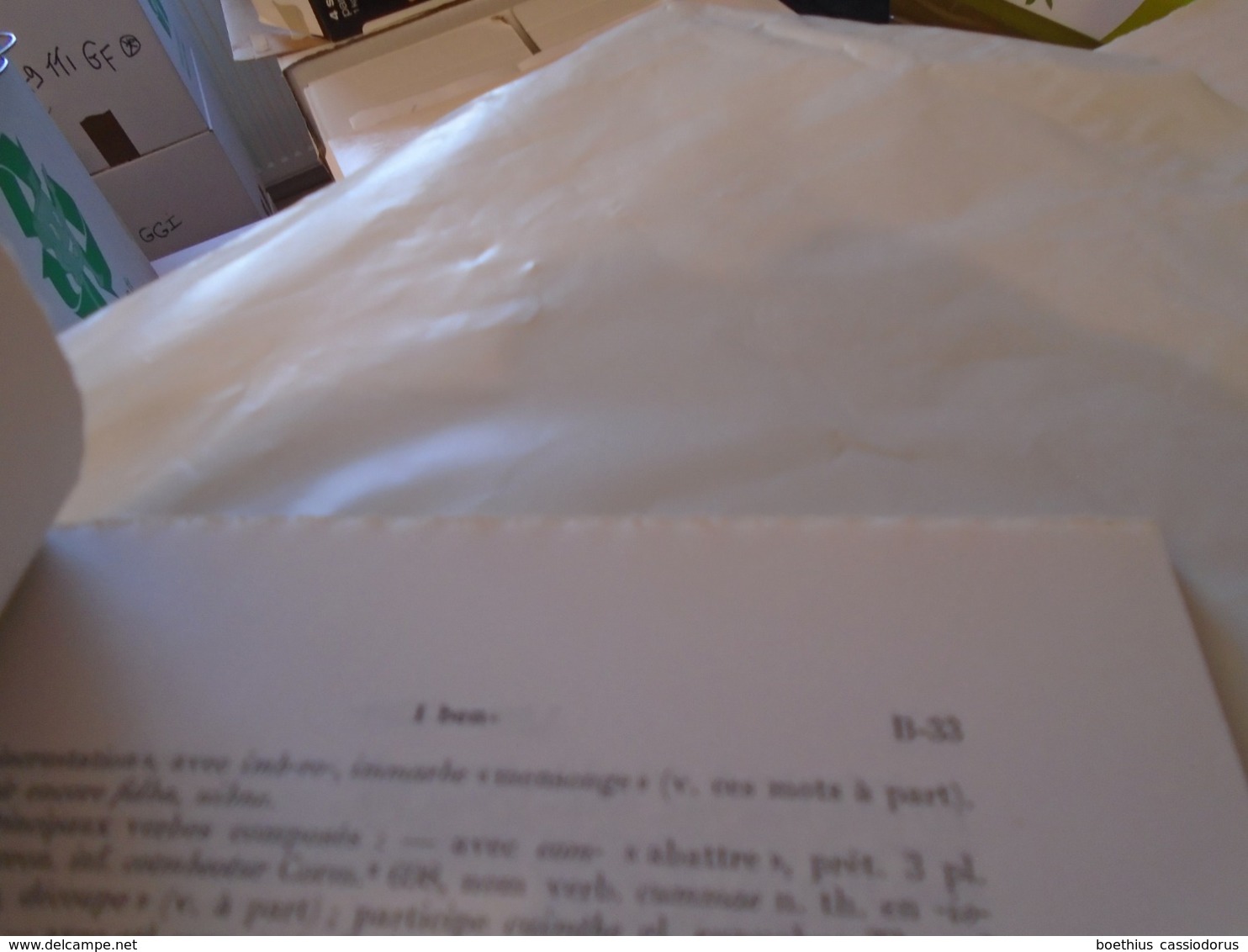 LEXIQUE ETYMOLOGIQUE DE L'IRLANDAIS ANCIEN  De J. VENDRYES  " B "  Par Les Soins De  E. BACHELLERY Et P.-Y. LAMBERT 1981 - Non Classés