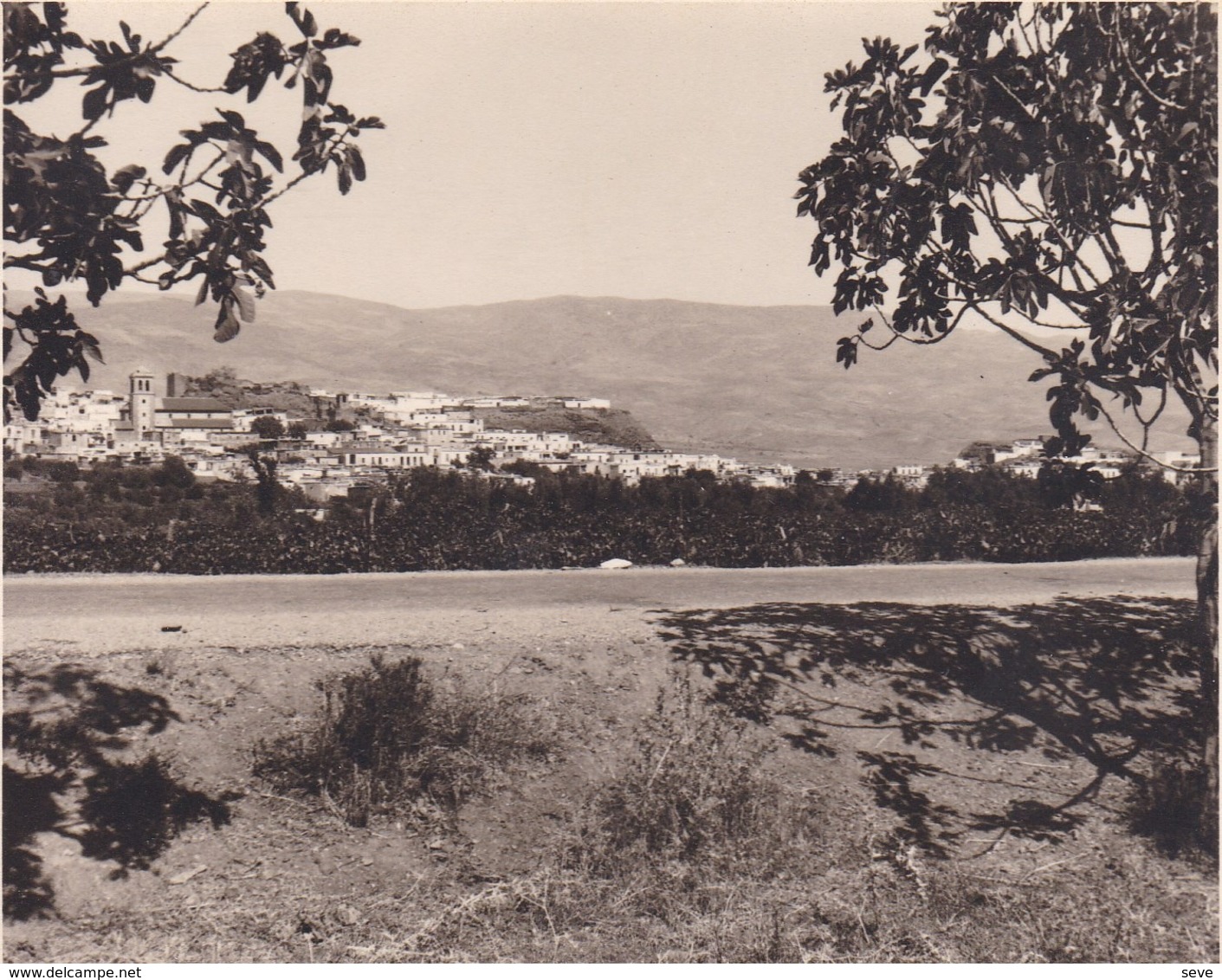 FINANA 1954 Photo Amateur Format Environ 7,5 Cm X 3,5 Cm Espagne - Luoghi