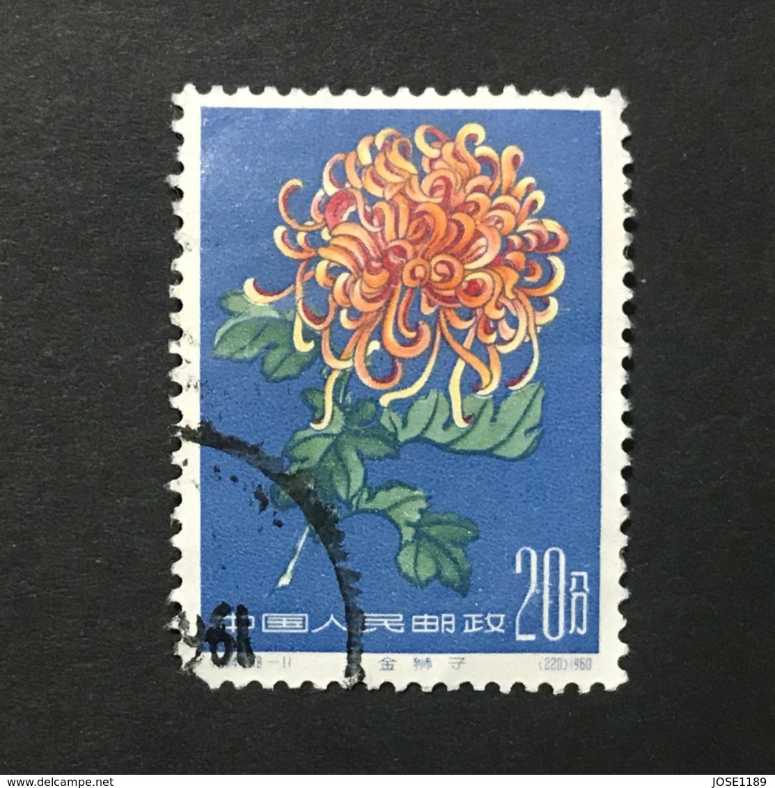 ◆◆◆CHINA 1960-61 Various Chrysanthemums In Natural Colors    20F (18-11)   USED   AA4402 - Used Stamps