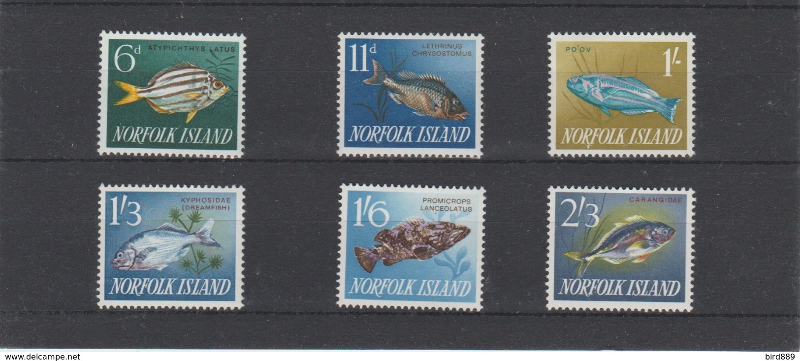 1962-1964 Norfolk Island Fish Full Set Of 6 MNH - Fishes