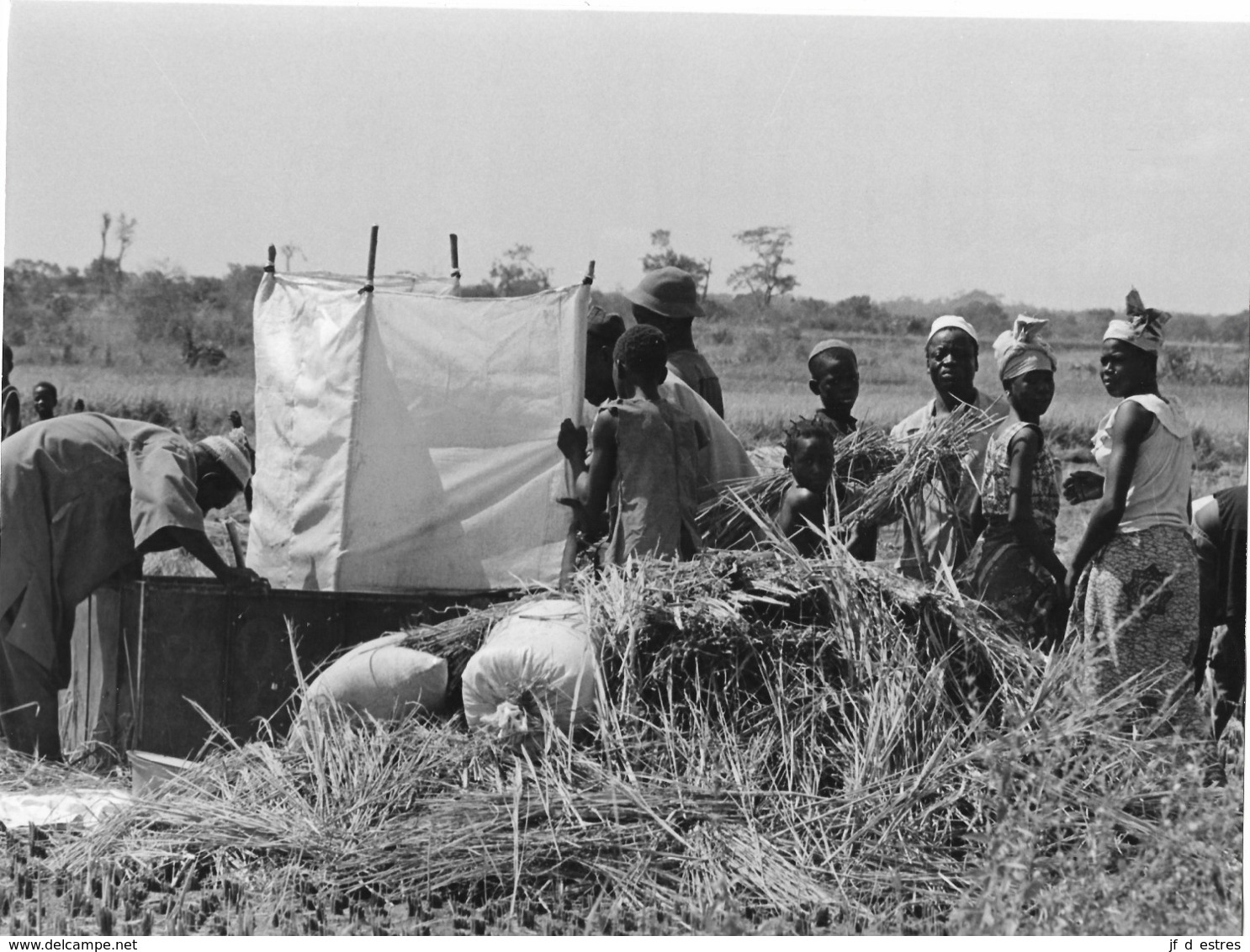 Photo Haute Volta (Burkina Faso) 1980. Rizicultures Dans La Vallée Du Kou . Photo Du Père Gust Beeckmans - Afrique