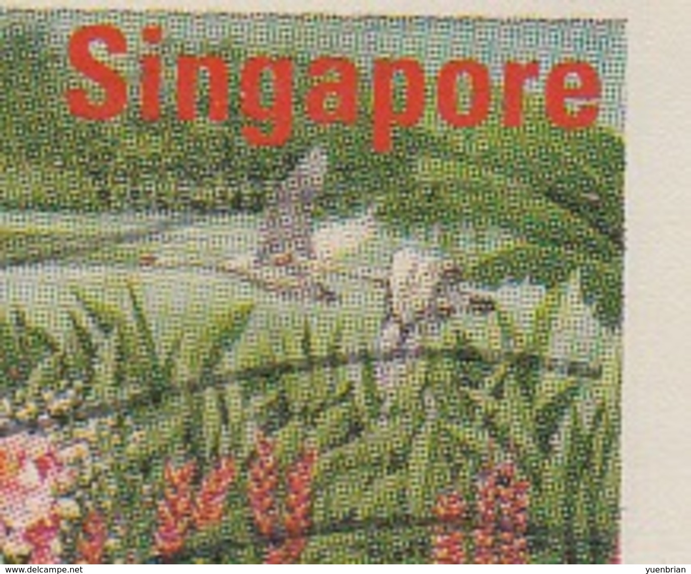 Singapore, ATM Label, Swans, Bird, Birds, Fine Used (O) - Cigni