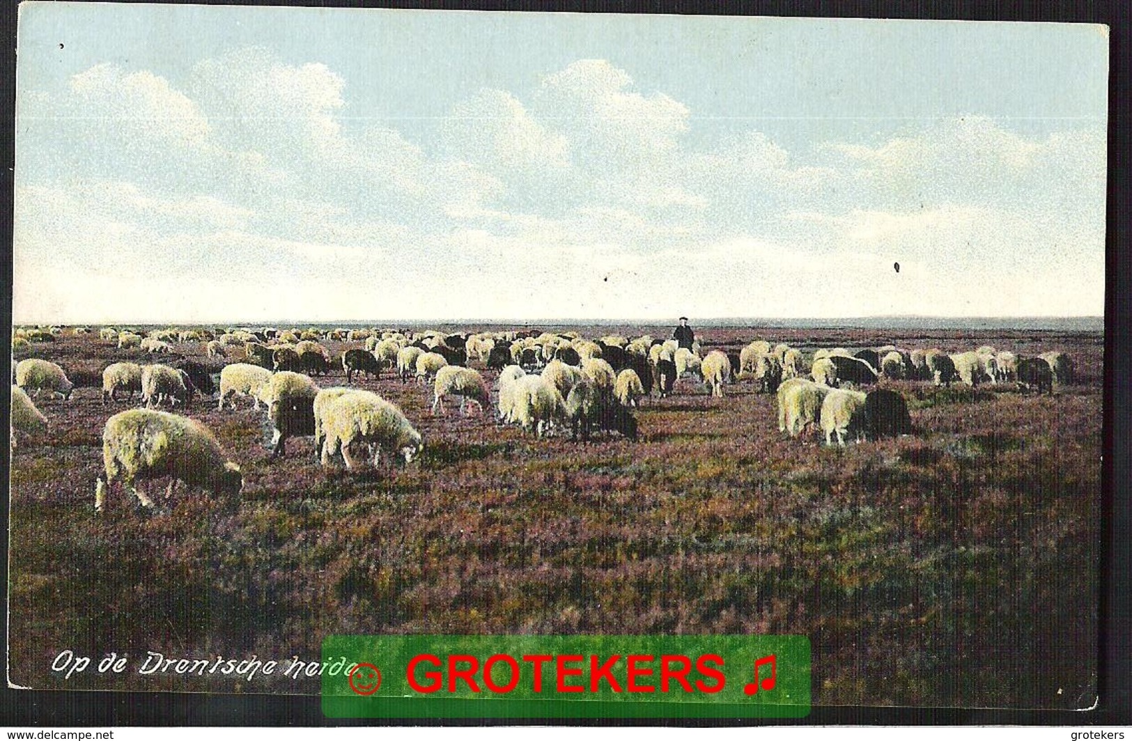 DRENTHE. (1911) Schaapskudde Op De Heide Afstempeling Veenhuizen 1913 - Autres & Non Classés