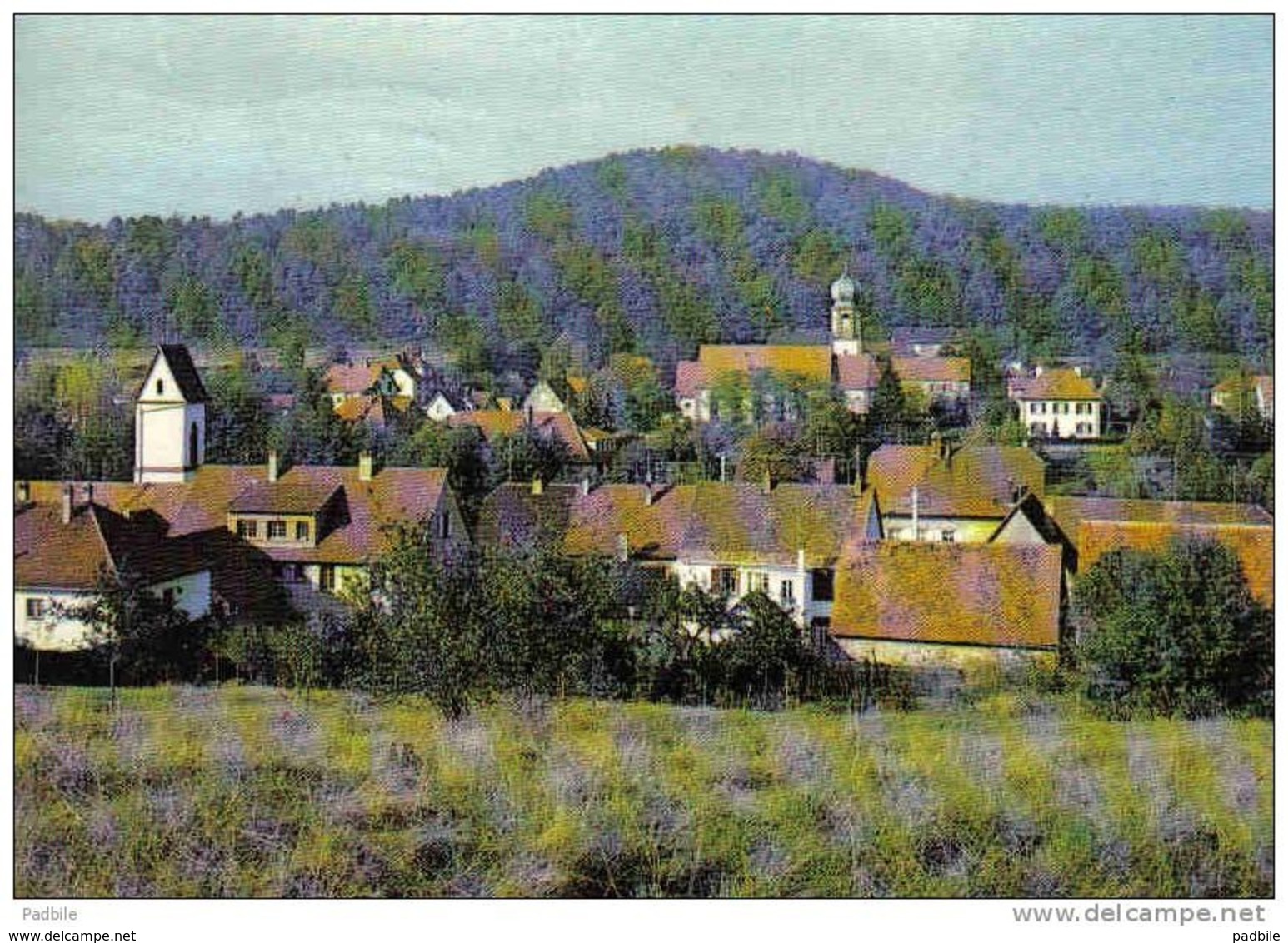 Carte Postale 67. Wingen-sur-Moder  Trés Beau Plan - Autres & Non Classés