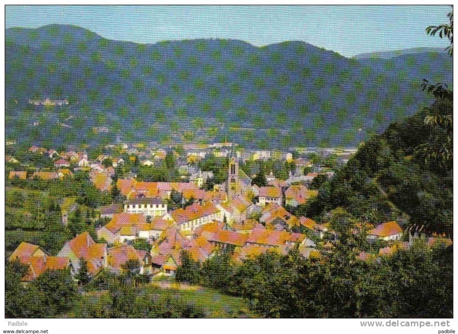 Carte Postale 67. Barembach  Trés Beau Plan - Autres & Non Classés