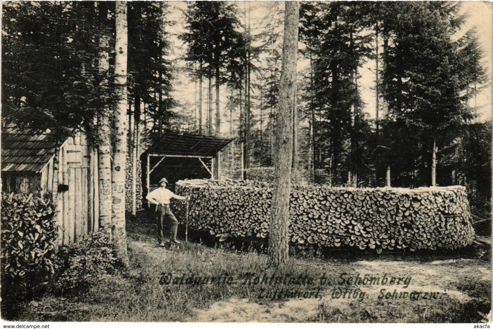 CPA AK Schomberg - Waldpartie B. Schomberg GERMANY (910399) - Schömberg