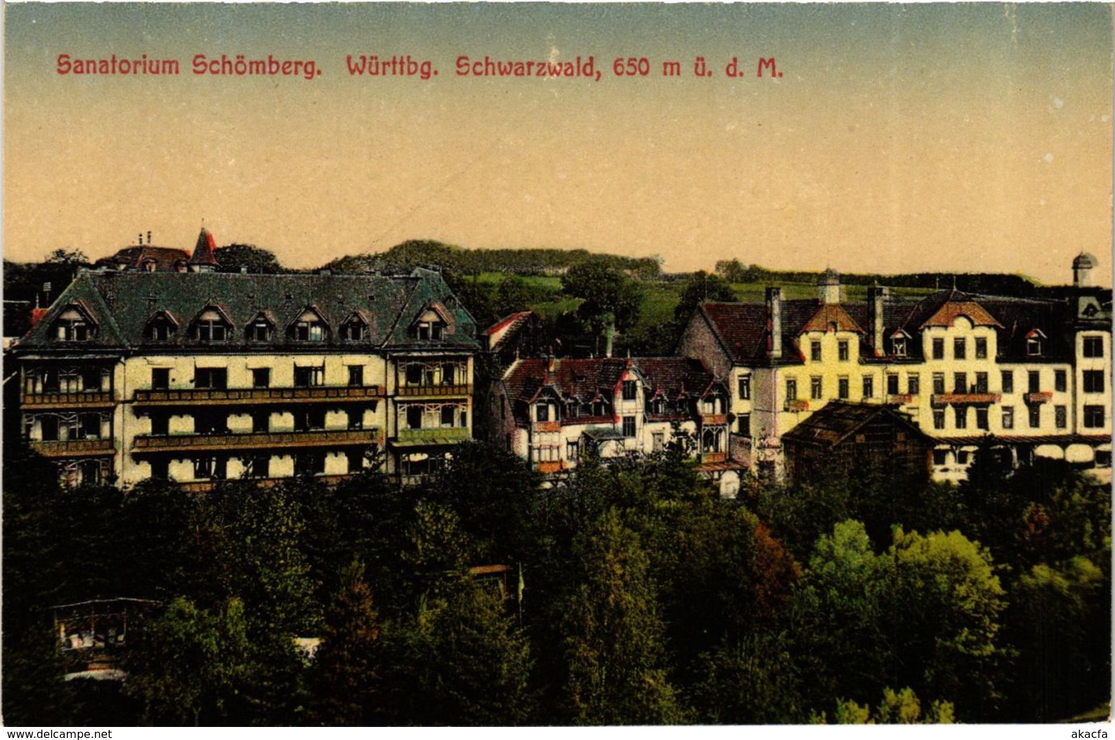 CPA AK Schomberg - Sanatorium Schomberg - Schwarzwald GERMANY (910412) - Schömberg