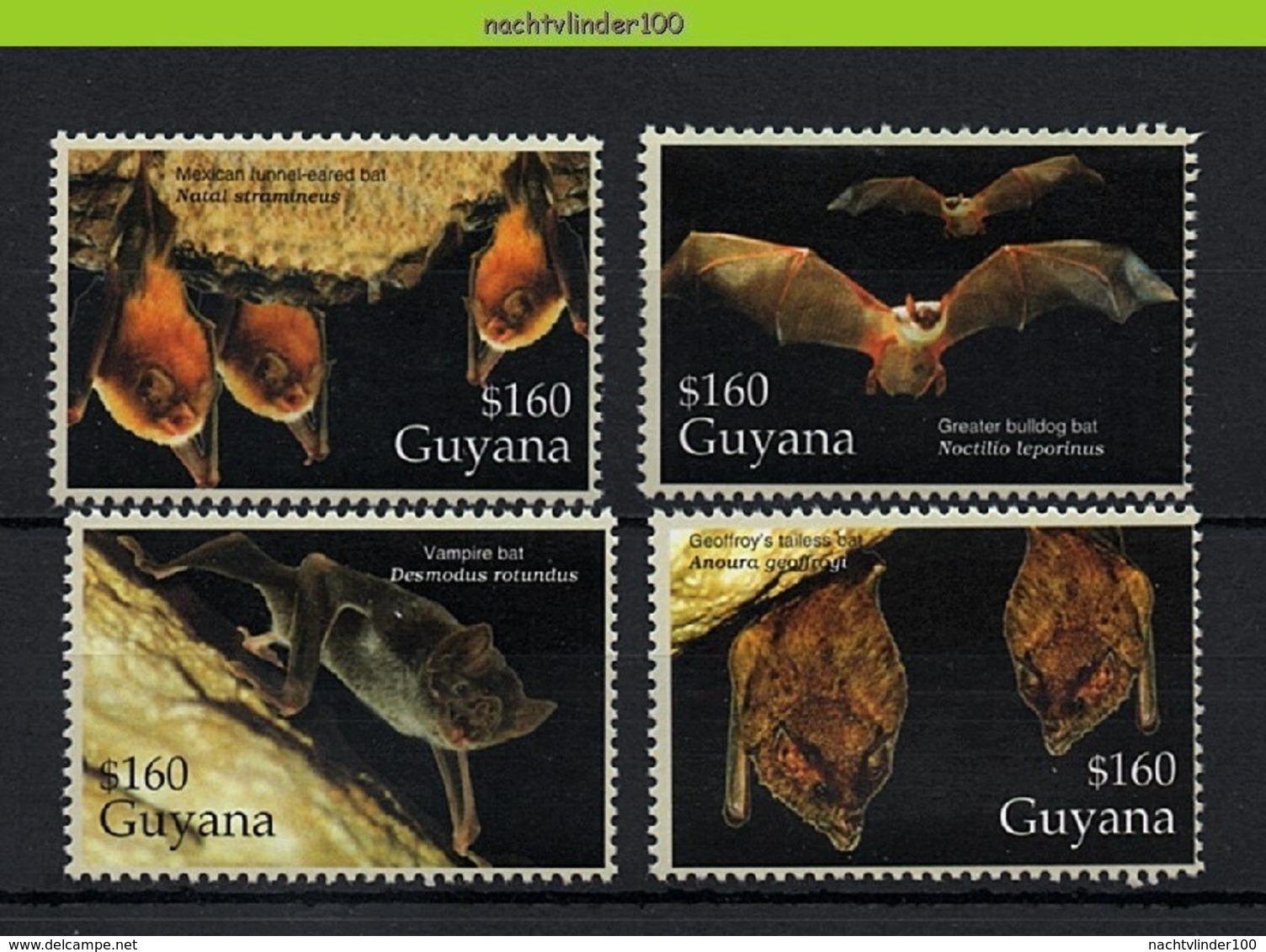 Nff053 FAUNA VLEERMUIS VLEERMUIZEN BATS FLUGHUND FLEDERMÄUSE CHAUVE SOURIS GUYANA 2005 PF/MNH # - Vleermuizen