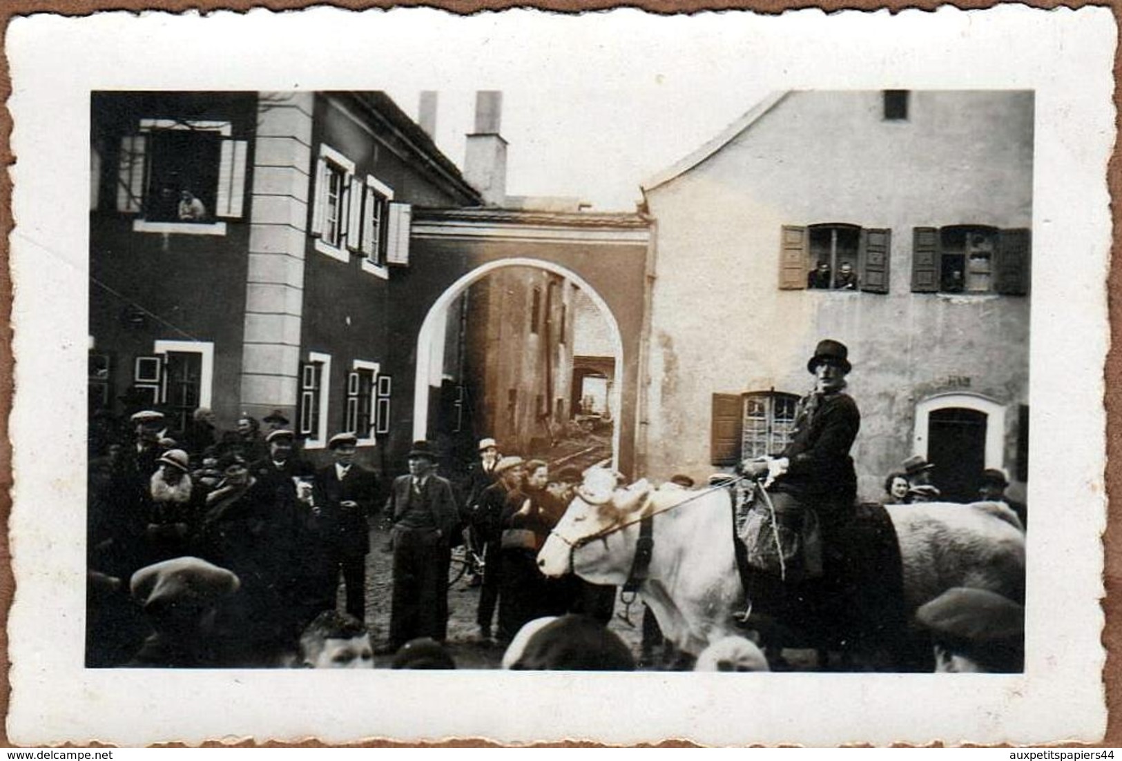 Petite Photo Originale Fête De Village & Cavalcade, Procession, Homme Défilant à Dos De Boeuf  Avec Cloche Vers 1930/40 - Personnes Anonymes