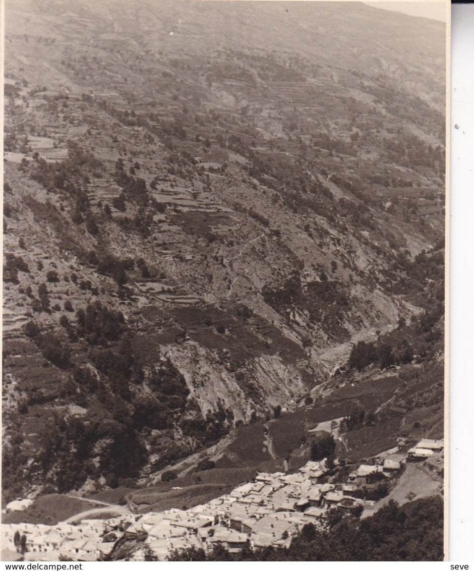 ALPUJARRA PAMPANEIRA 1935 Photo Amateur Format Environ 7,5 Cm X 3,5 Cm - Lugares