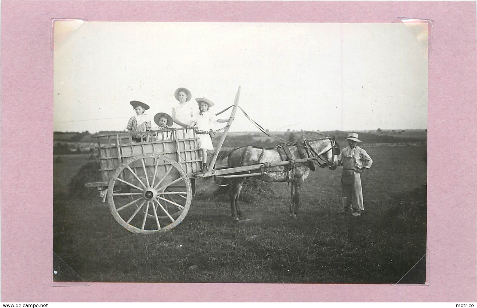 AGRICULTURE - Attelage Et Enfants (photo Vers 1900 Format  11cm X 7,7cm) - Métiers