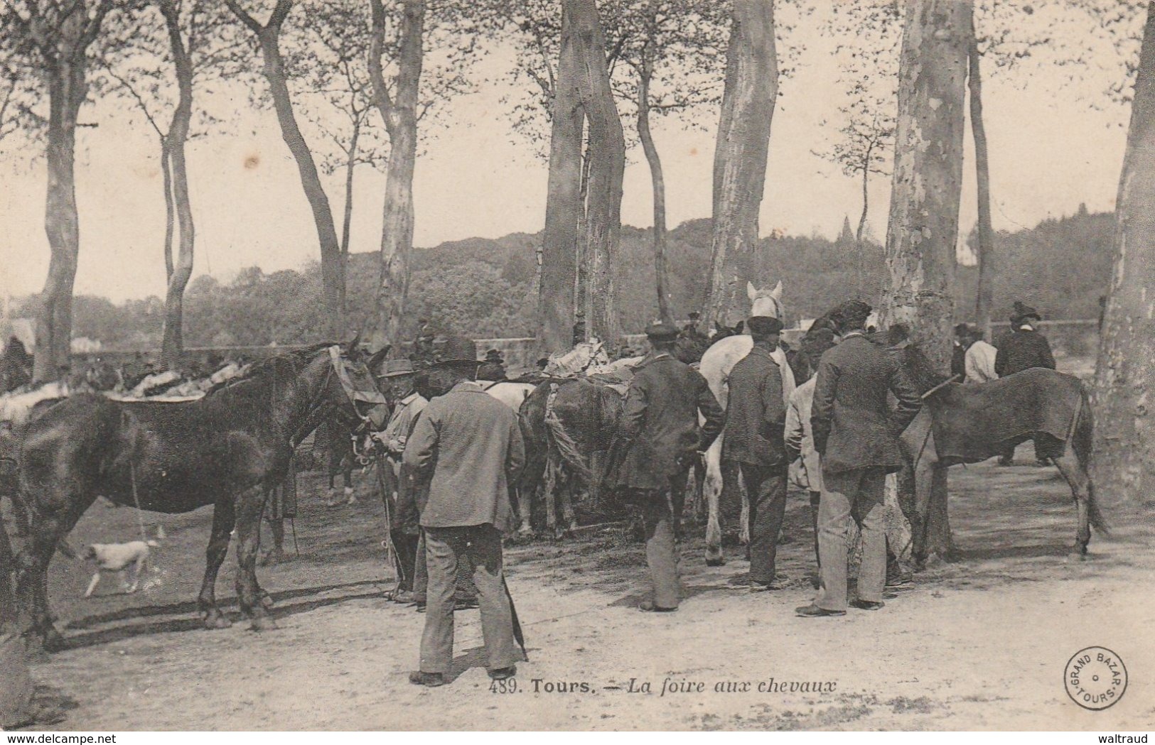 37--TOURS--LA FOIRE AUX CHEVAUX--VOIR SCANNER - Tours