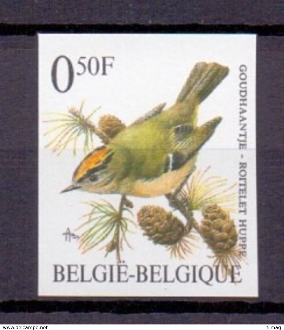 2424 GOUDHAANTJE BUZIN VOGEL ONGETAND POSTFRIS** 1991 - Other & Unclassified