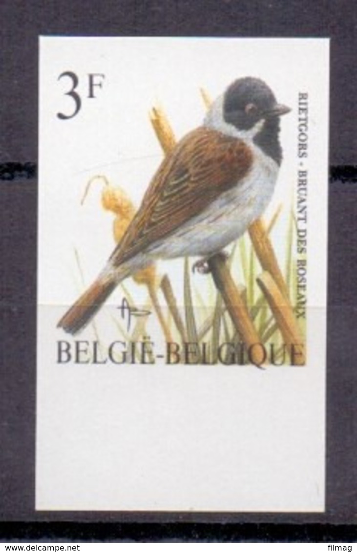 2425 RIETGORS BUZIN VOGEL ONGETAND POSTFRIS** 1991 - Autres & Non Classés