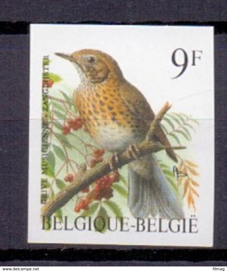 2426 ZANGLIJSTER BUZIN VOGEL ONGETAND POSTFRIS** 1991 - Autres & Non Classés