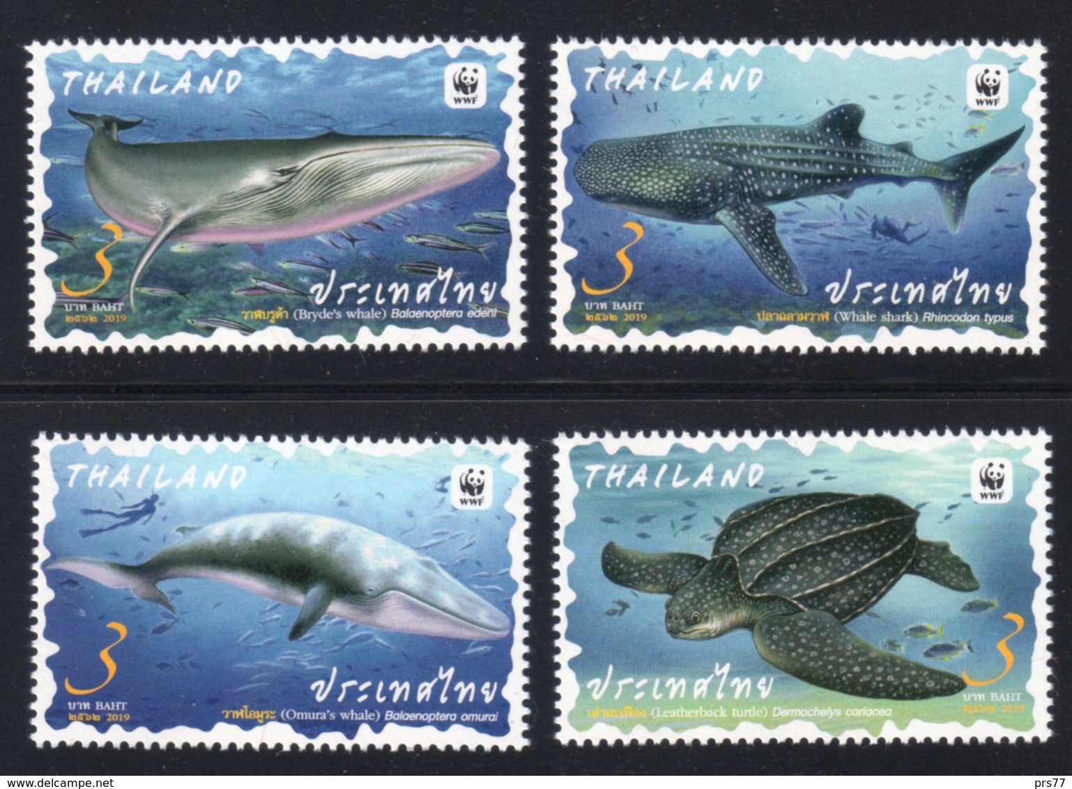 Thailand 2019 - Preserved Wild Animals / WWF / Animal / Fauna / Whale / Turtle / Shark / Marine Life - Thailand