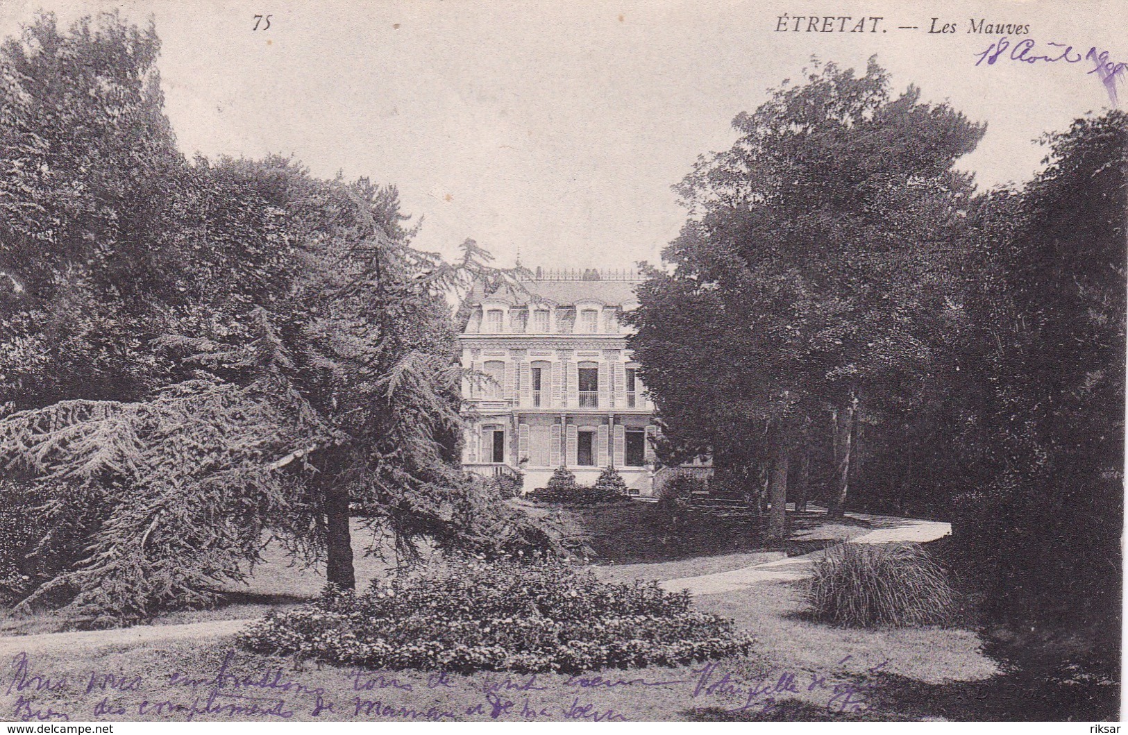 ETRETAT(ARBRE) - Etretat