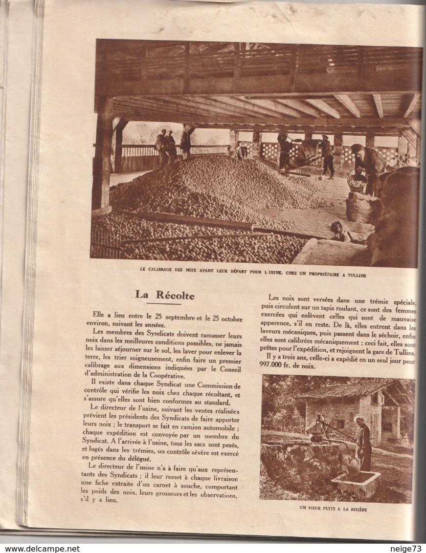 Ancien Fascicule Intéressant - 1932 - Bulletin De La Fédération Des Syndicats De Producteurs De Noix De Grenoble - 1901-1940