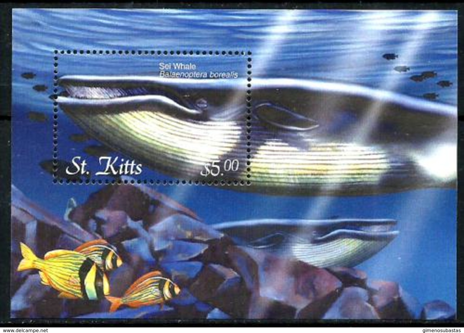 San Cristobal HB 48 En Nuevo - St.Kitts Y Nevis ( 1983-...)