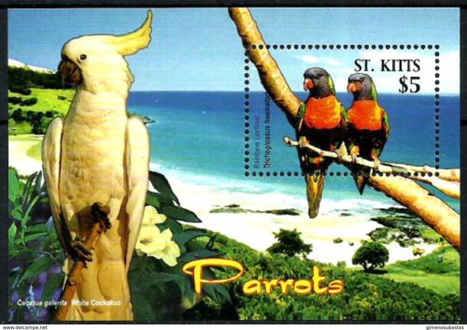 San Cristobal HB 74 En Nuevo - St.Kitts Und Nevis ( 1983-...)