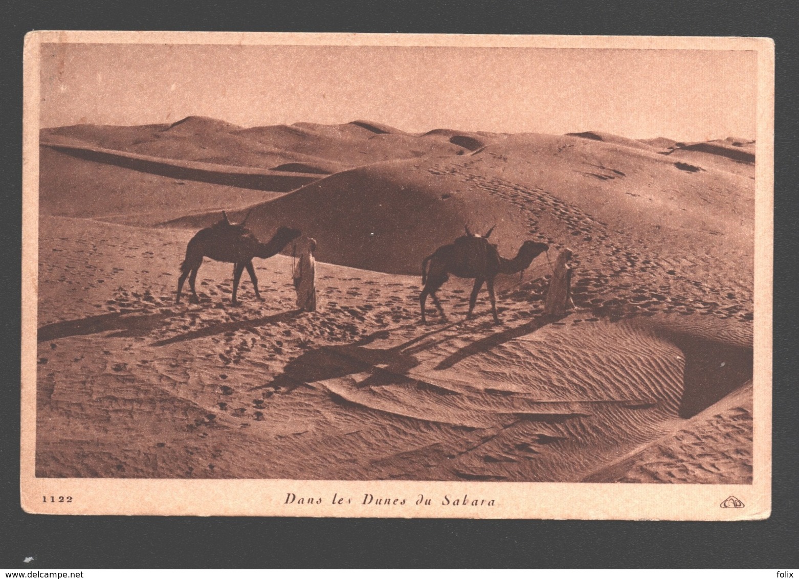 Dans Les Dunes Du Sahara - Autres & Non Classés