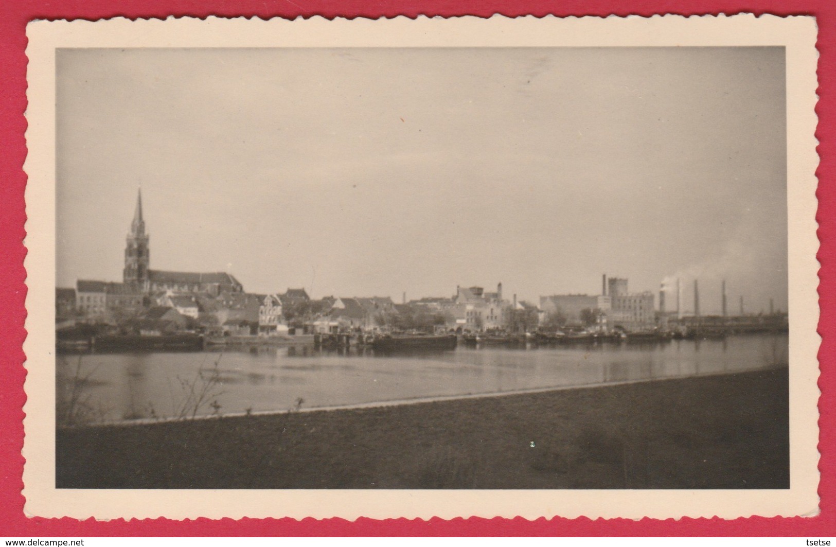 Boom 1946 - Panorama - Fotokaart ( Verso Zien ) - Boom