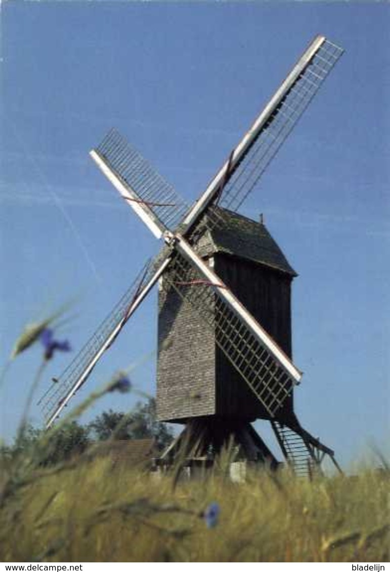 SINT-MARTENS-LATEM (O.Vl.) - Molen/moulin - Houten Standaardmolen (Koutermolen) Na Verplaatsing / Restauratie (ca. 1985) - Sint-Martens-Latem
