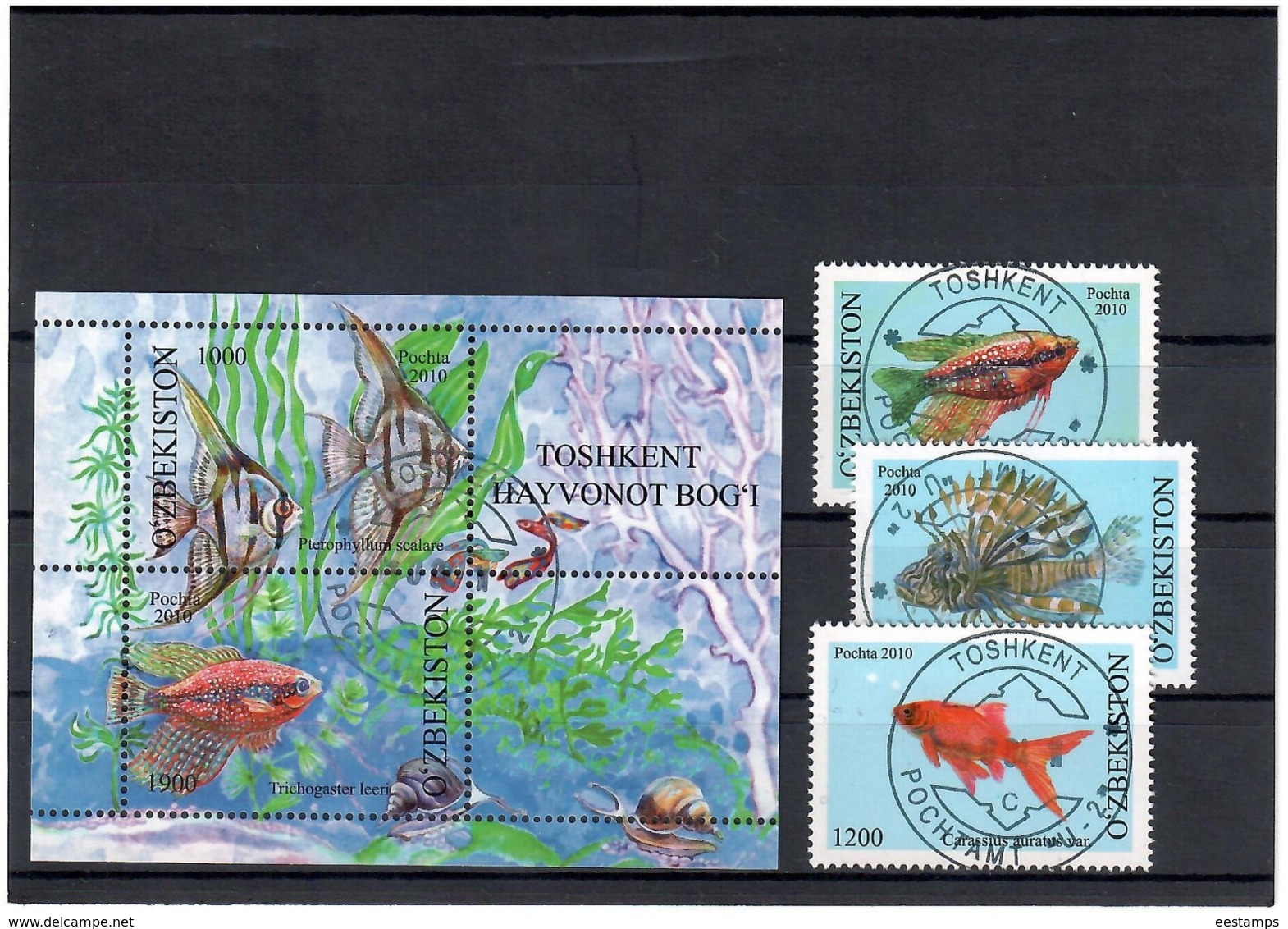 Uzbekistan 2010. Aquarium Fishes.3v+S/S; 800,1000,1200;1000/1200   Michel # 911-13 + BL 58  (oo) - Ouzbékistan