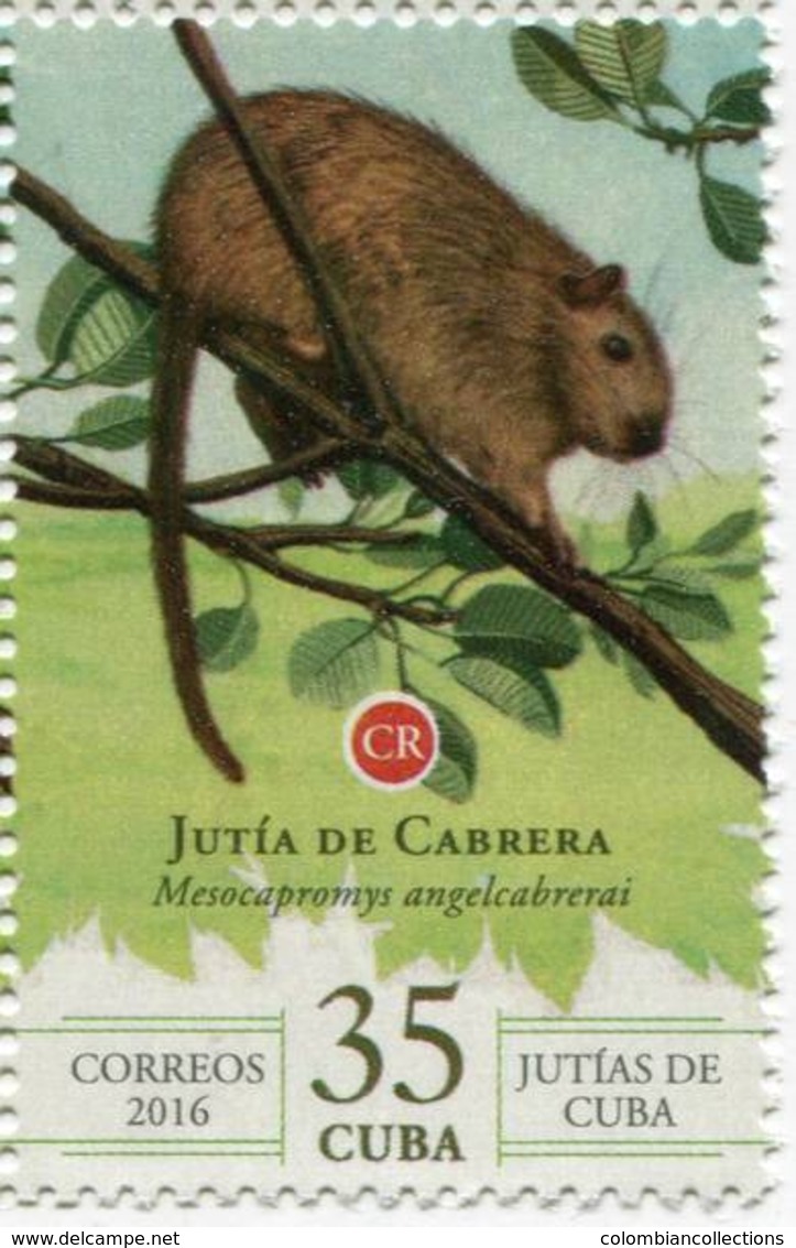 Lote CU2016-25, Cuba, 2016, Sello, Stamp, Jutias De Cuba, 6 V, Jutia, Rodent Animal, Fauna - Otros & Sin Clasificación