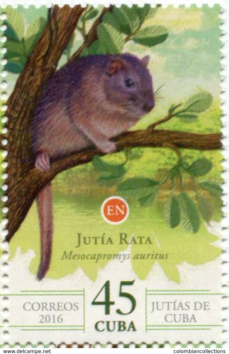 Lote CU2016-25, Cuba, 2016, Sello, Stamp, Jutias De Cuba, 6 V, Jutia, Rodent Animal, Fauna - Otros & Sin Clasificación