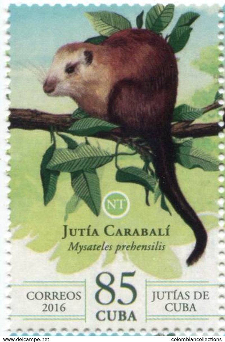 Lote CU2016-25, Cuba, 2016, Sello, Stamp, Jutias De Cuba, 6 V, Jutia, Rodent Animal, Fauna - Otros & Sin Clasificación