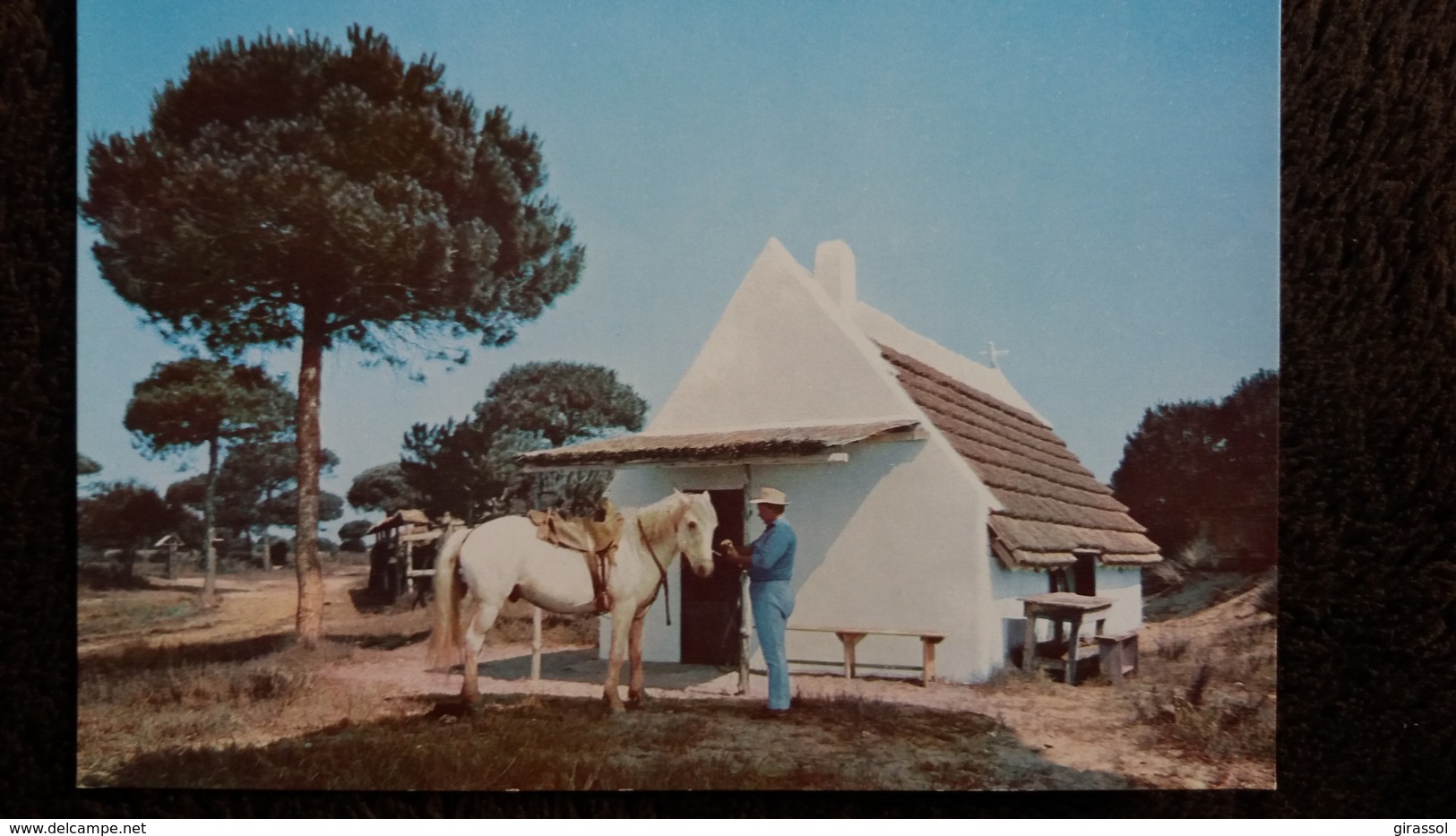 CPSM CHEVAL EN CAMARGUE CABANE DE BOUCANET ED SL GARDIAN - Chevaux