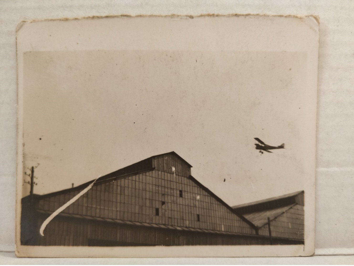 Photo. Avion. 7x8.5 Cm - Aviation