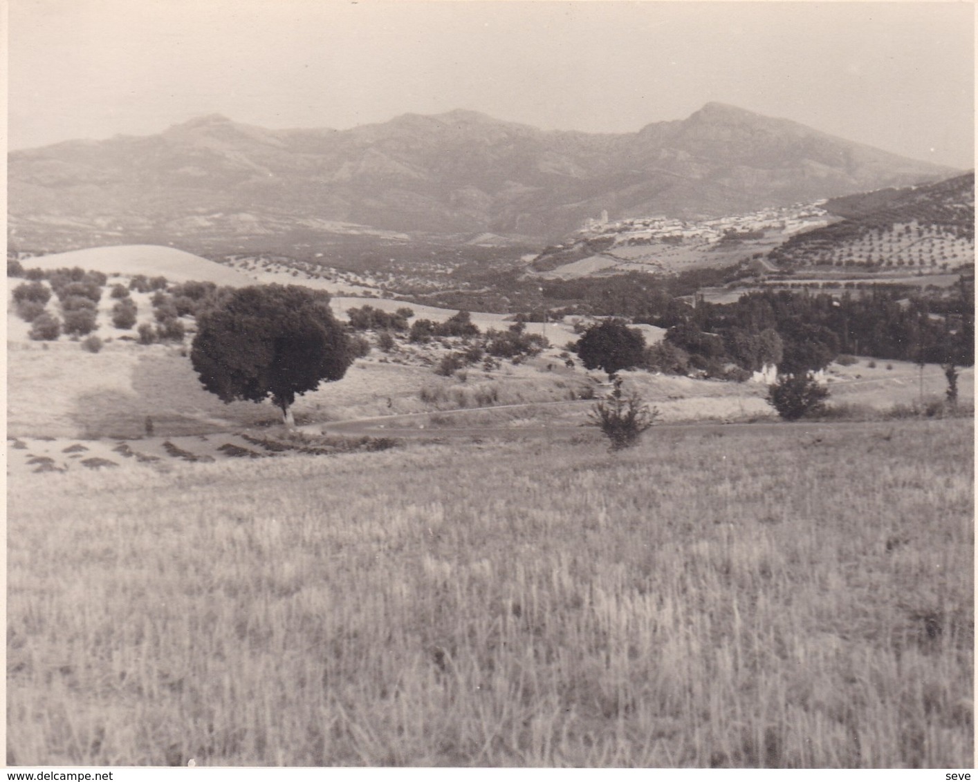 QUESADA 1964 Photo Amateur Format Environ 7,5 Cm X 5,5 Cm ESPAGNE - Lugares