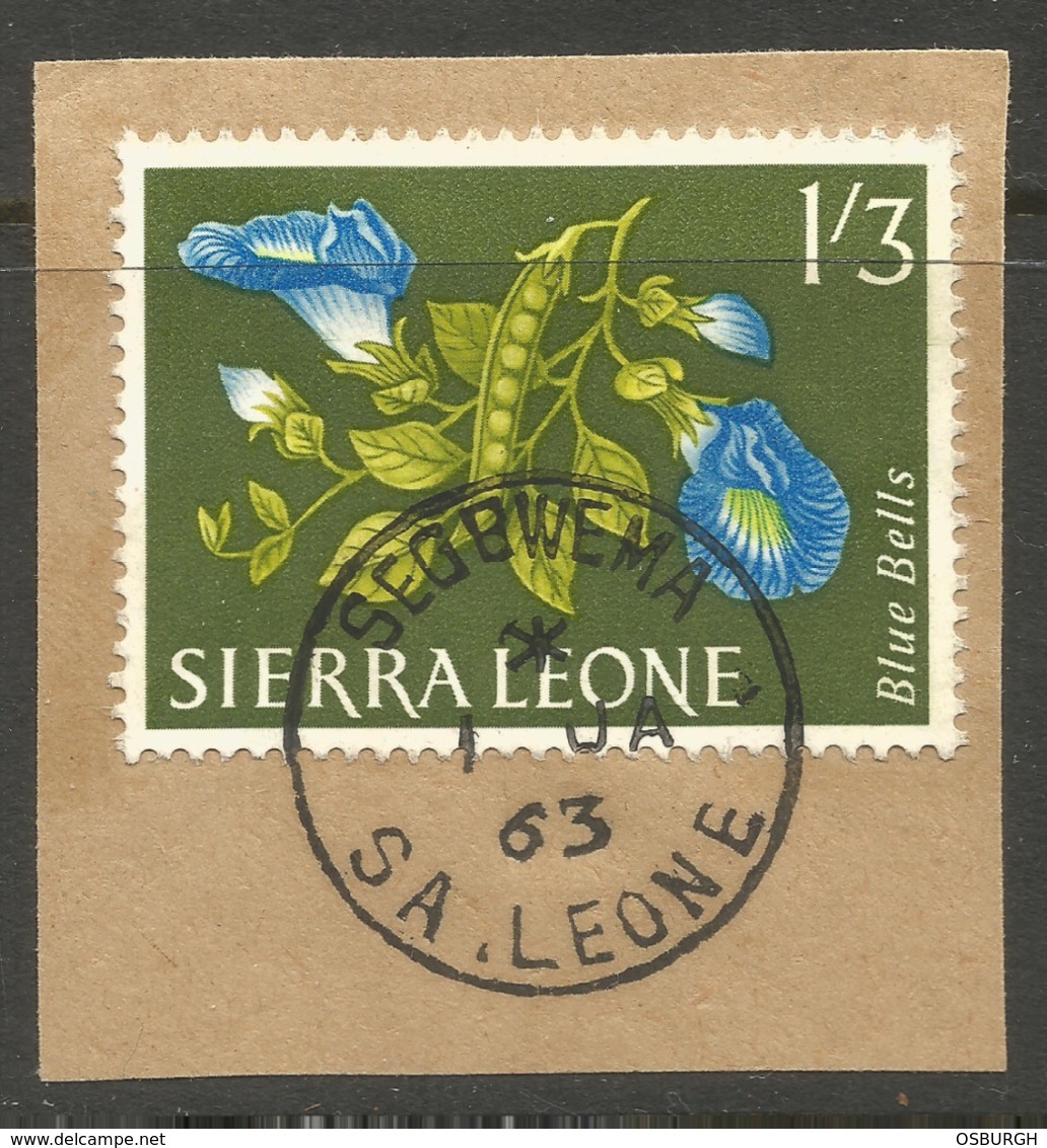 SIERRA LEONE. 1/3d. SEGBWEMA POSTMARK. FLOWERS - Sierra Leone (1961-...)