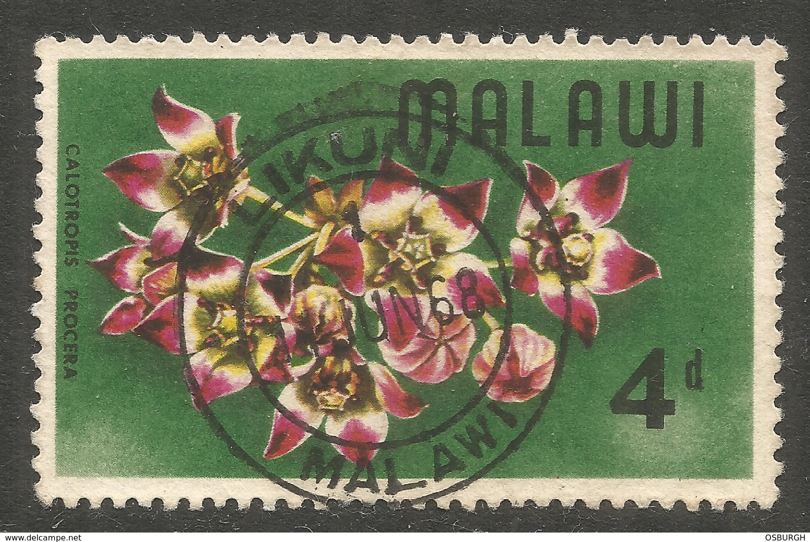 MALAWI. 4d LIKUNI POSTMARK. FLOWERS - Malawi (1964-...)