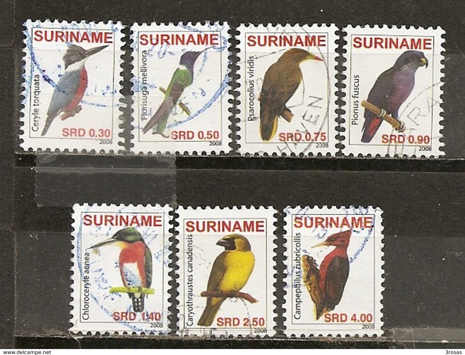 Surinam 201- Oiseaux Birds Obl - Surinam