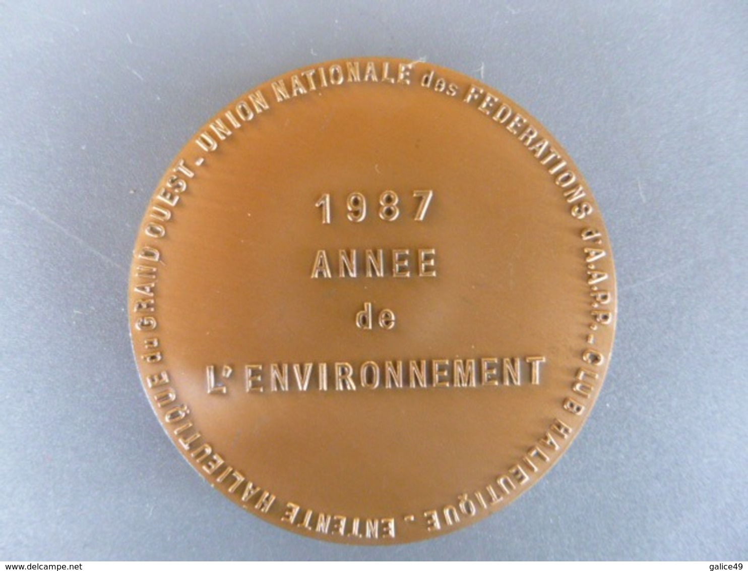 Belle Médaille En Bronze Massif Signée Torcheux - 1987 Année Environnement - Féds Pêche - Club Et Entente Halieutique - Professionali / Di Società