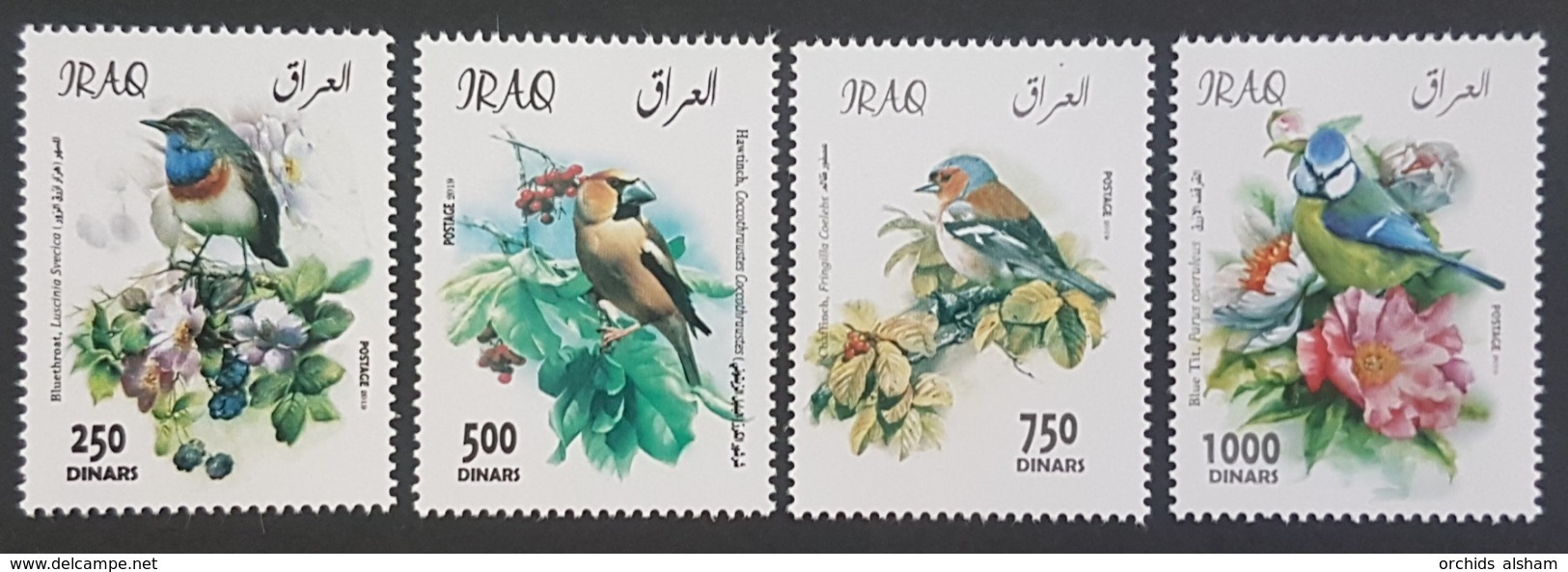 Iraq NEW 2019 Complete Set 4v. MNH - Iraqi Birds - Limited Issue - Iraq
