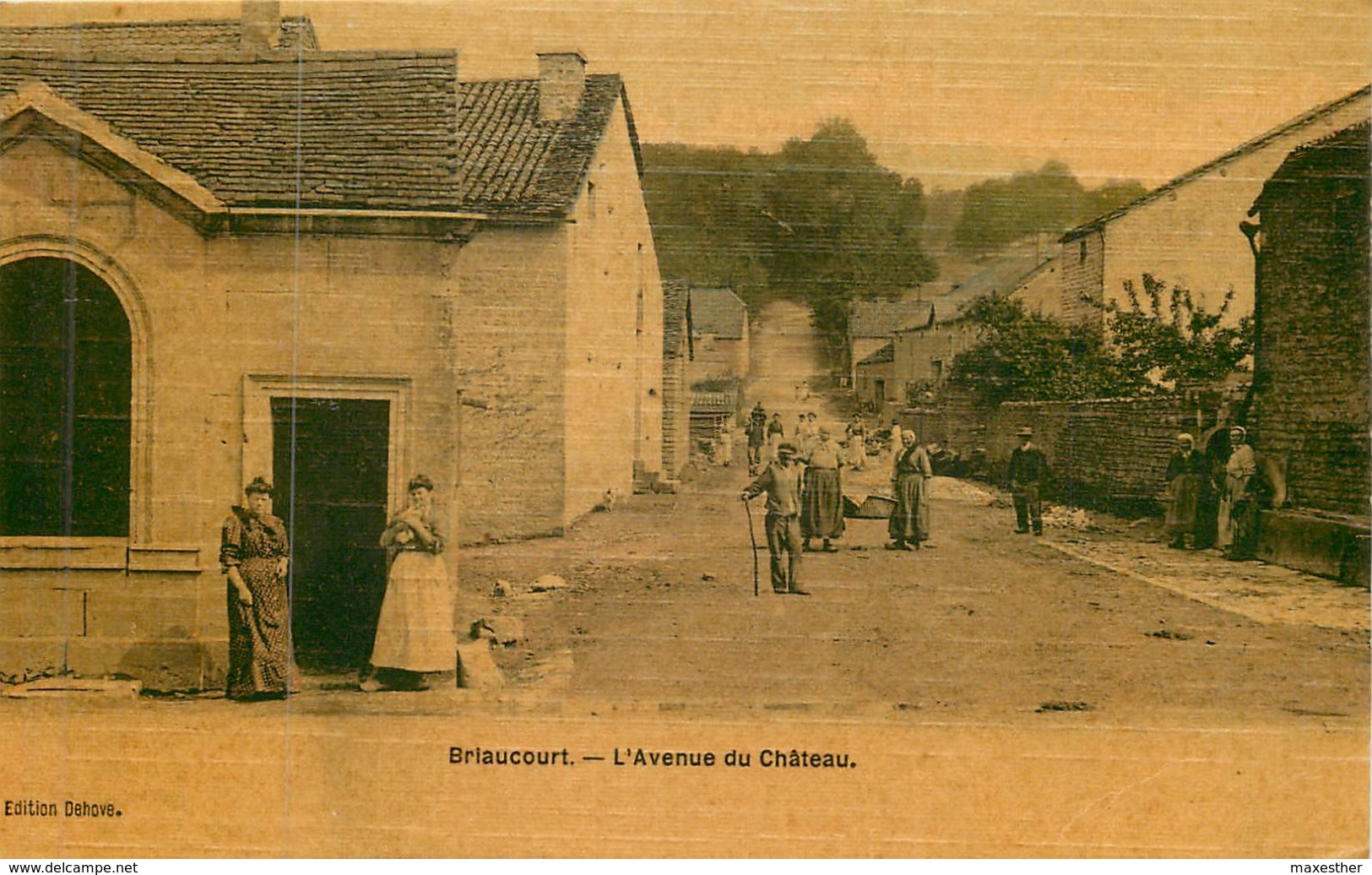 BRIAUCOURT  L'avenue Du Chateau - Autres & Non Classés