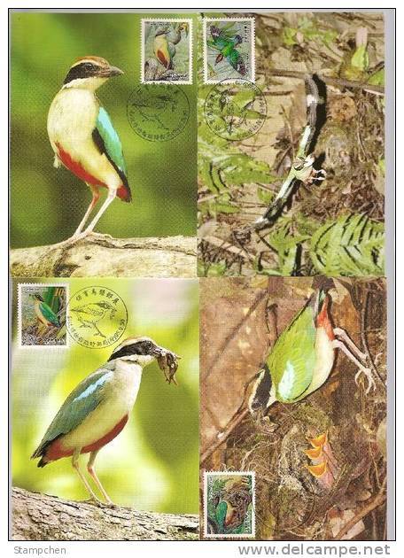 Maxi Cards Taiwan 2006 Conservation Bird -Fairy Pitta Fauna Flower - Cartoline Maximum