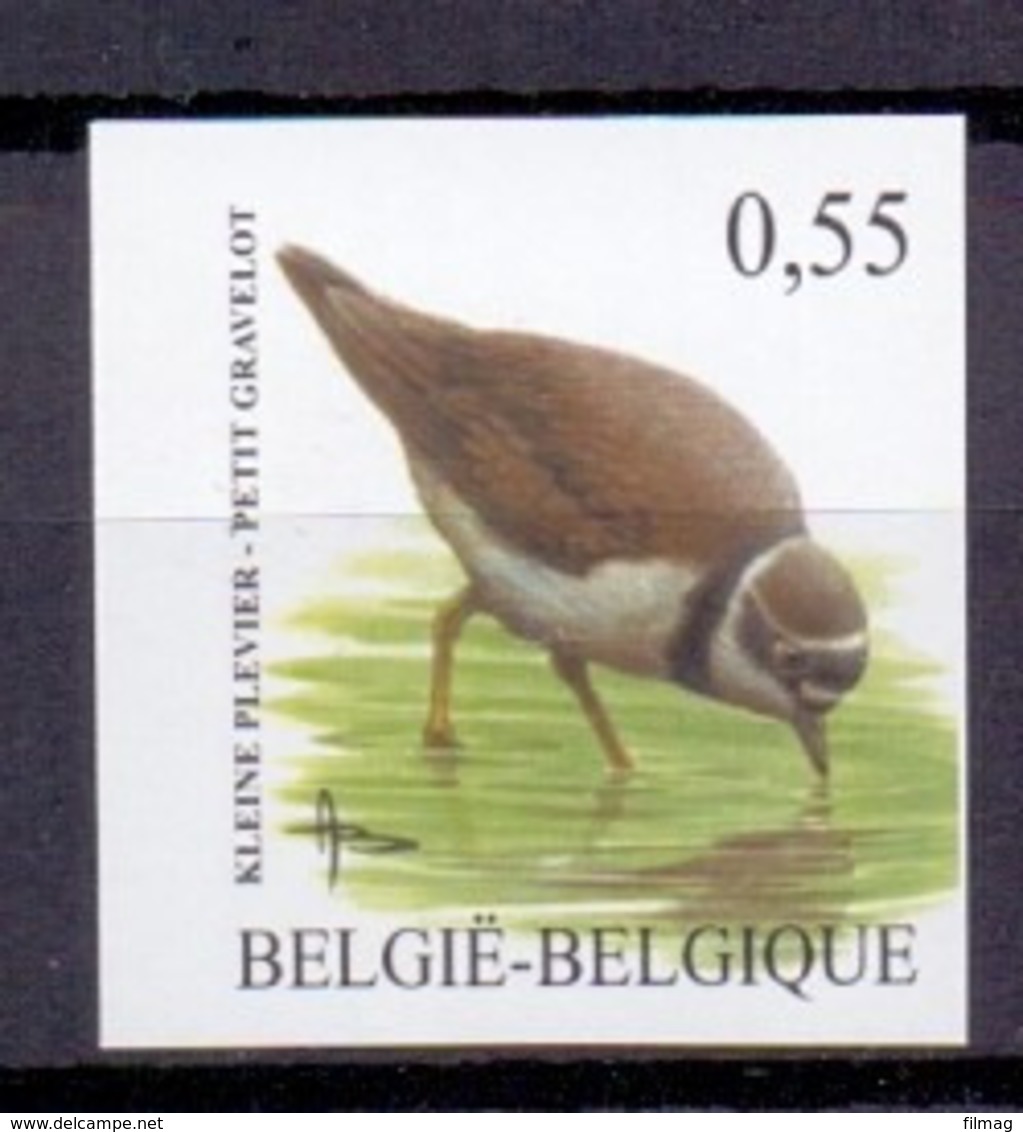 3267 Kleine Plevier Buzin Vogel ONGETAND POSTFRIS** 2004 - Andere & Zonder Classificatie