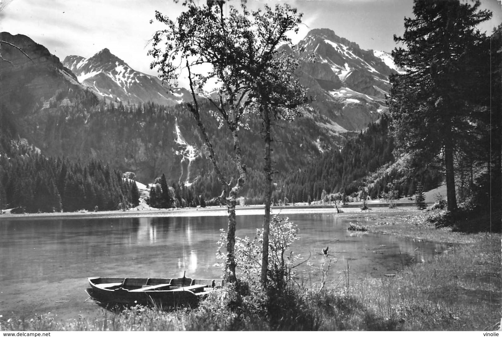 PIE.Z.19-PF.T-1135 :  LAUENENSEE OB LAUENEN - Lauenen